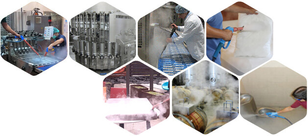 Electric Steamer Optima XE Overview